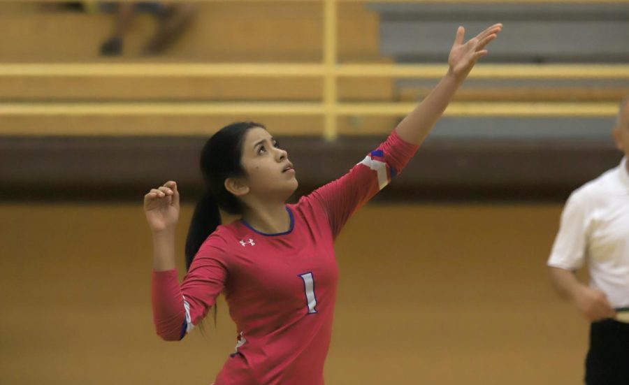 Volleyball Falls to Irvin, 3-0